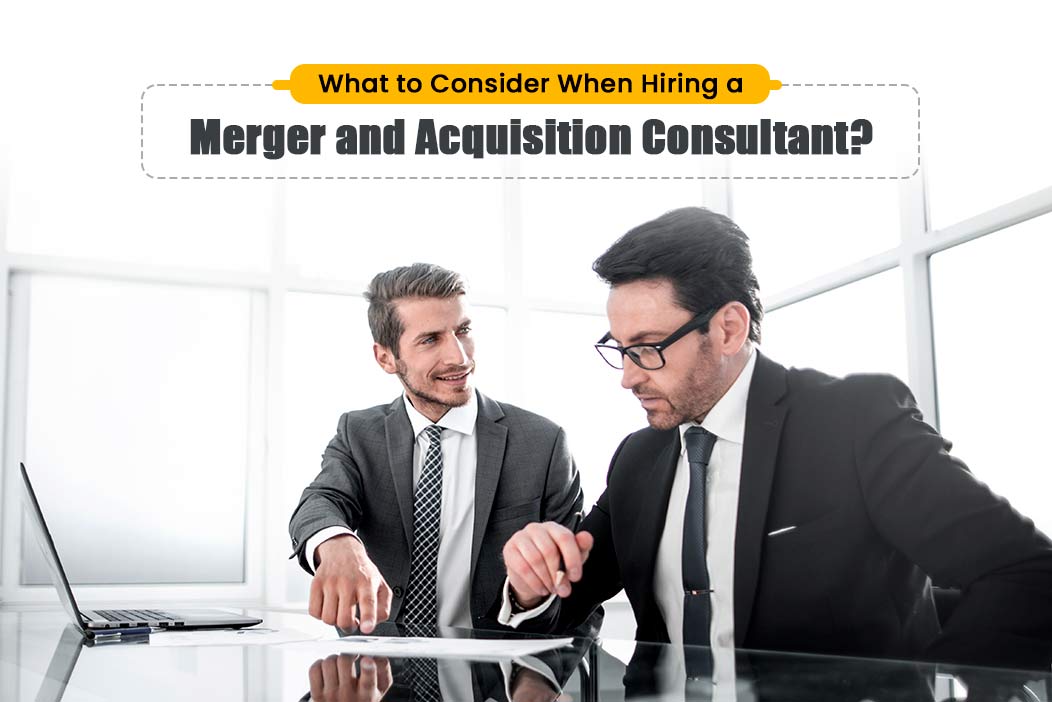 Merger and Acquisition Consultant